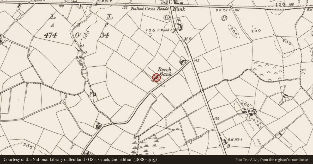 Ordnance Survey six-inch map, 2nd edition (1888–1915) covering the location of Beech Bank, Balloo, Ards and North Down, with a pin at the register's coordinates