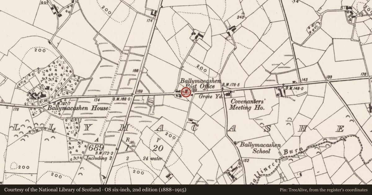 Ordnance Survey six-inch map, 2nd edition (1888–1915) covering the location of 87 Saintfield Road, Ballymacashen, Ards and North Down, with a pin at the register's coordinates