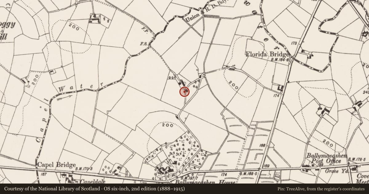 Ordnance Survey six-inch map, 2nd edition (1888–1915) covering the location of 60 Kilcarn Road, Ballymacashen, Ards and North Down, with a pin at the register's coordinates