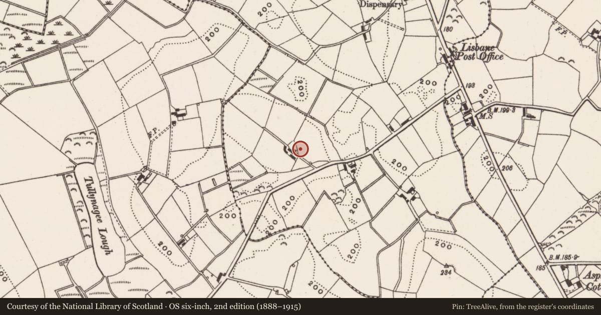 Ordnance Survey six-inch map, 2nd edition (1888–1915) covering the location of Ashview House, Lisbarnet, Ards and North Down, with a pin at the register's coordinates