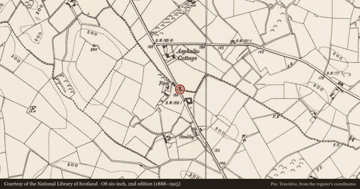 Ordnance Survey six-inch map, 2nd edition (1888–1915) covering the location of 246 Killinchy Road, Lisbane, Ards and North Down, with a pin at the register's coordinates