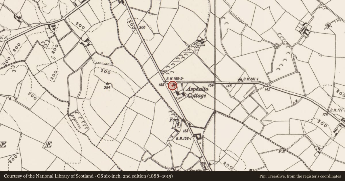 Ordnance Survey six-inch map, 2nd edition (1888–1915) covering the location of 1 Ardmillan Road, Lisbane, Ards and North Down, with a pin at the register's coordinates