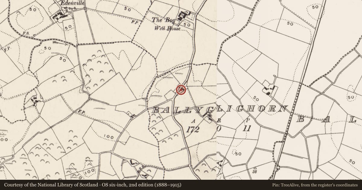 Ordnance Survey six-inch map, 2nd edition (1888–1915) covering the location of 14 [A+B] Ballyglighorn Road, Ards and North Down, with a pin at the register's coordinates