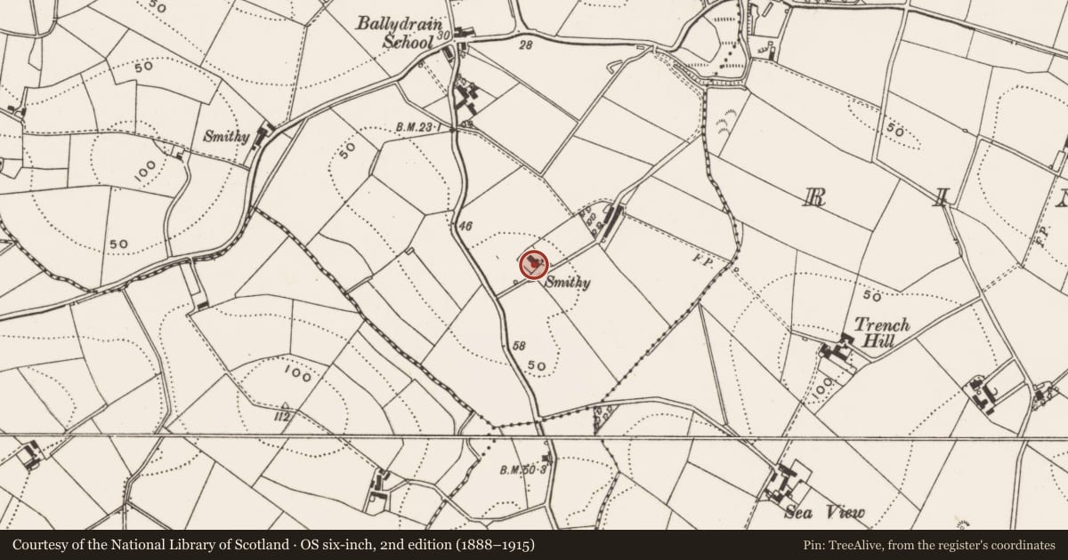 Ordnance Survey six-inch map, 2nd edition (1888–1915) covering the location of [?10] Tullynakill Road, Ballydrain, Ards and North Down, with a pin at the register's coordinates