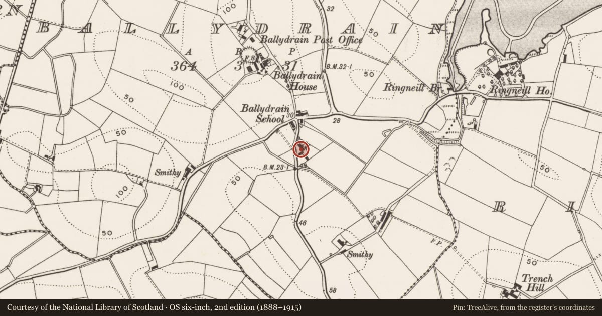 Ordnance Survey six-inch map, 2nd edition (1888–1915) covering the location of 6 Tullynakill Road, Ballydrain, Ards and North Down, with a pin at the register's coordinates