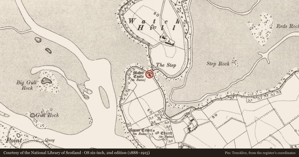 Ordnance Survey six-inch map, 2nd edition (1888–1915) covering the location of Nendrum Castle, Mahee Island, Ards and North Down, with a pin at the register's coordinates