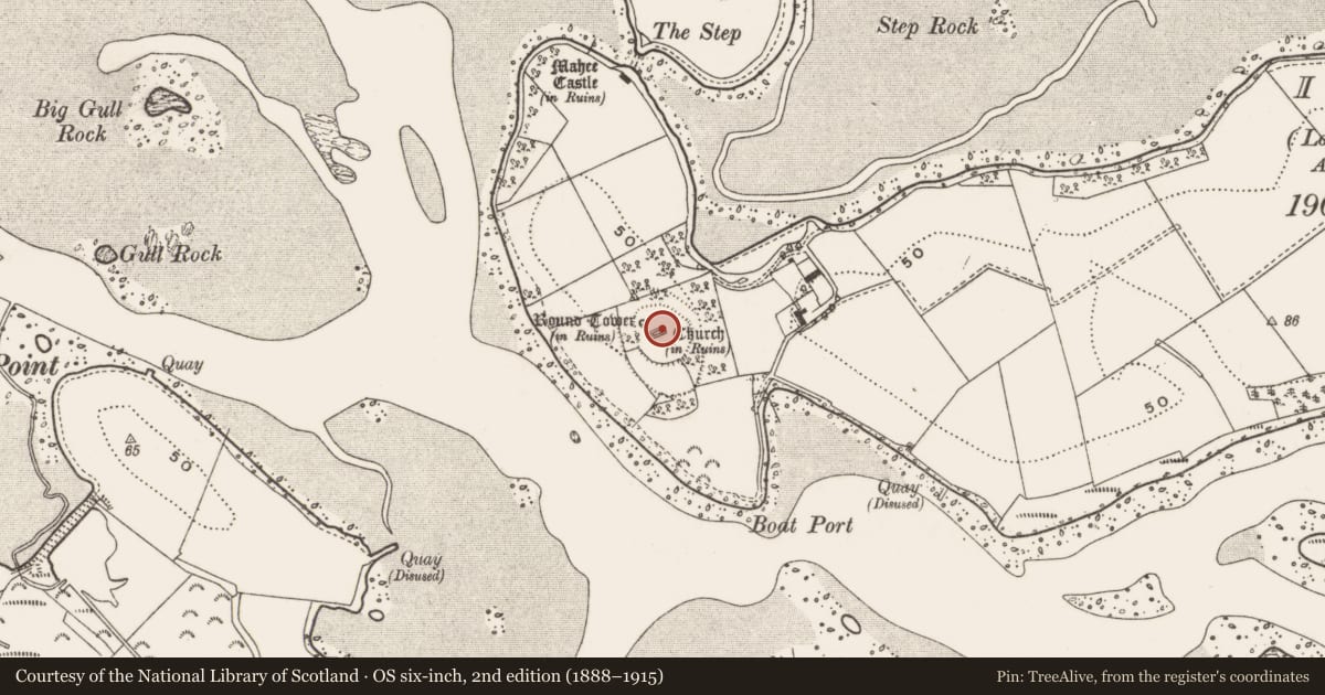 Ordnance Survey six-inch map, 2nd edition (1888–1915) covering the location of Nendrum monastic site, Mahee Island, Ards and North Down, with a pin at the register's coordinates
