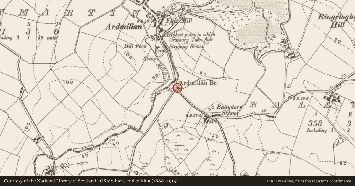 Ordnance Survey six-inch map, 2nd edition (1888–1915) covering the location of ’The Brig’, Craigarusky, Ards and North Down, with a pin at the register's coordinates