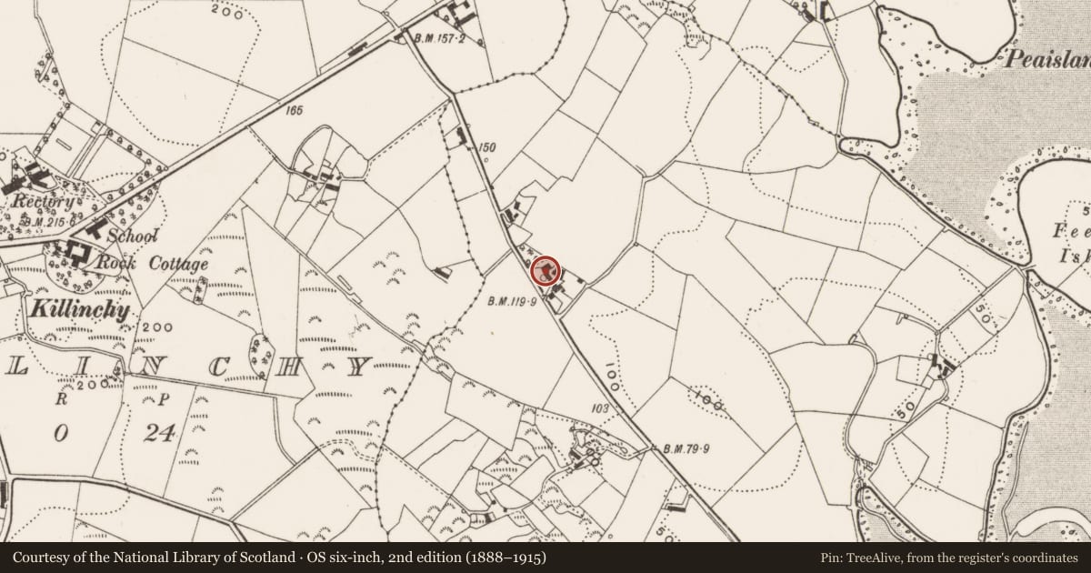 Ordnance Survey six-inch map, 2nd edition (1888–1915) covering the location of SUMMERHILL 18 Ballymorran Road Ballymorran Killinchy Co.down, Ards and North Down, with a pin at the register's coordinates