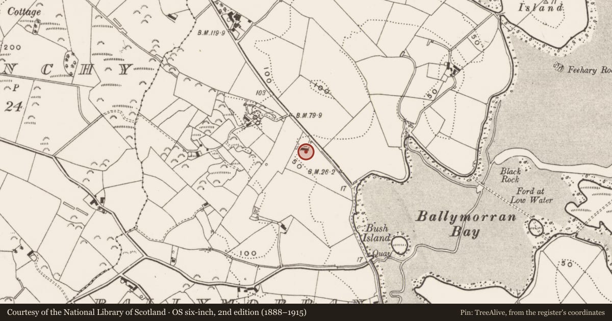 Ordnance Survey six-inch map, 2nd edition (1888–1915) covering the location of ’The Long Thatch’, Ballymorran, Ards and North Down, with a pin at the register's coordinates