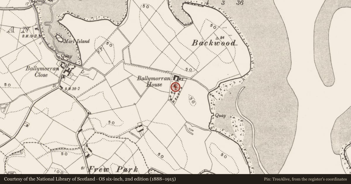 Ordnance Survey six-inch map, 2nd edition (1888–1915) covering the location of Ballymorran House 46 Ballymorran Park Killinchy Co.down, Ards and North Down, with a pin at the register's coordinates