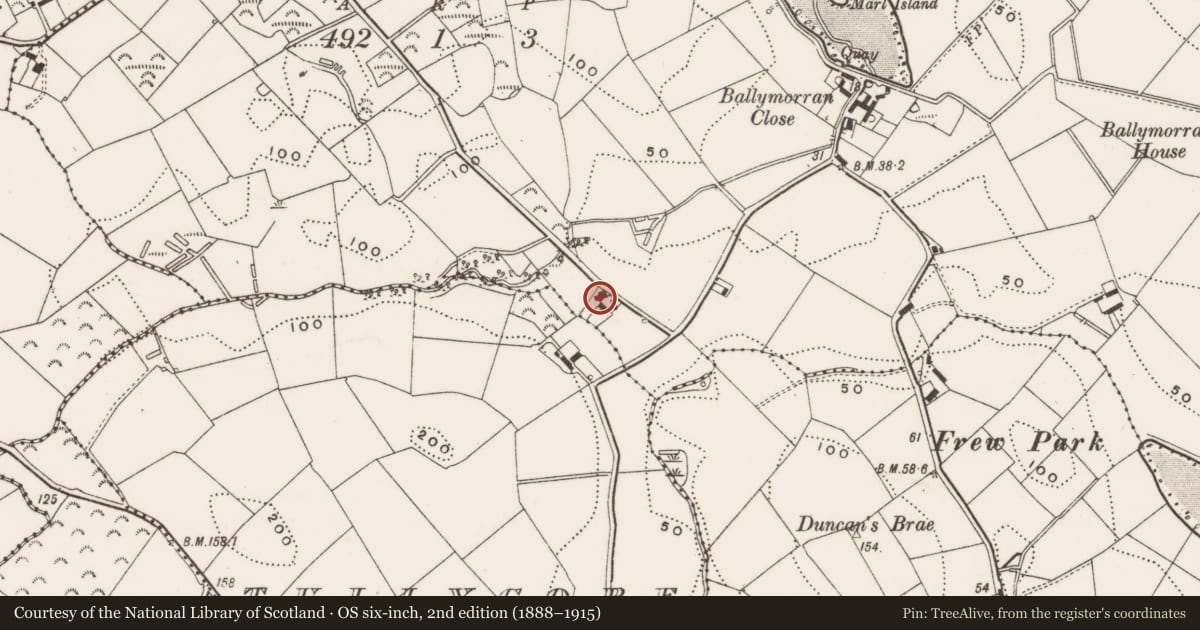 Ordnance Survey six-inch map, 2nd edition (1888–1915) covering the location of 31 Islandview Road, Killinchy, Ards and North Down, with a pin at the register's coordinates