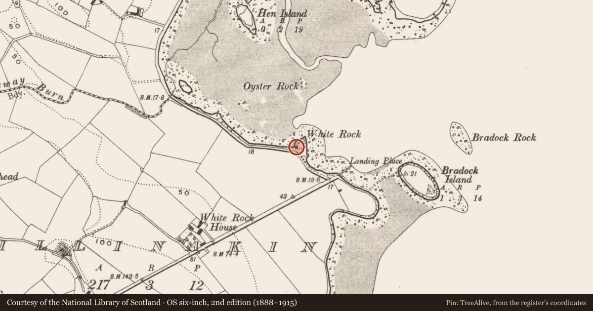 Ordnance Survey six-inch map, 2nd edition (1888–1915) covering the location of Strangford Lough Yacht Club, Killinakin, Ards and North Down, with a pin at the register's coordinates