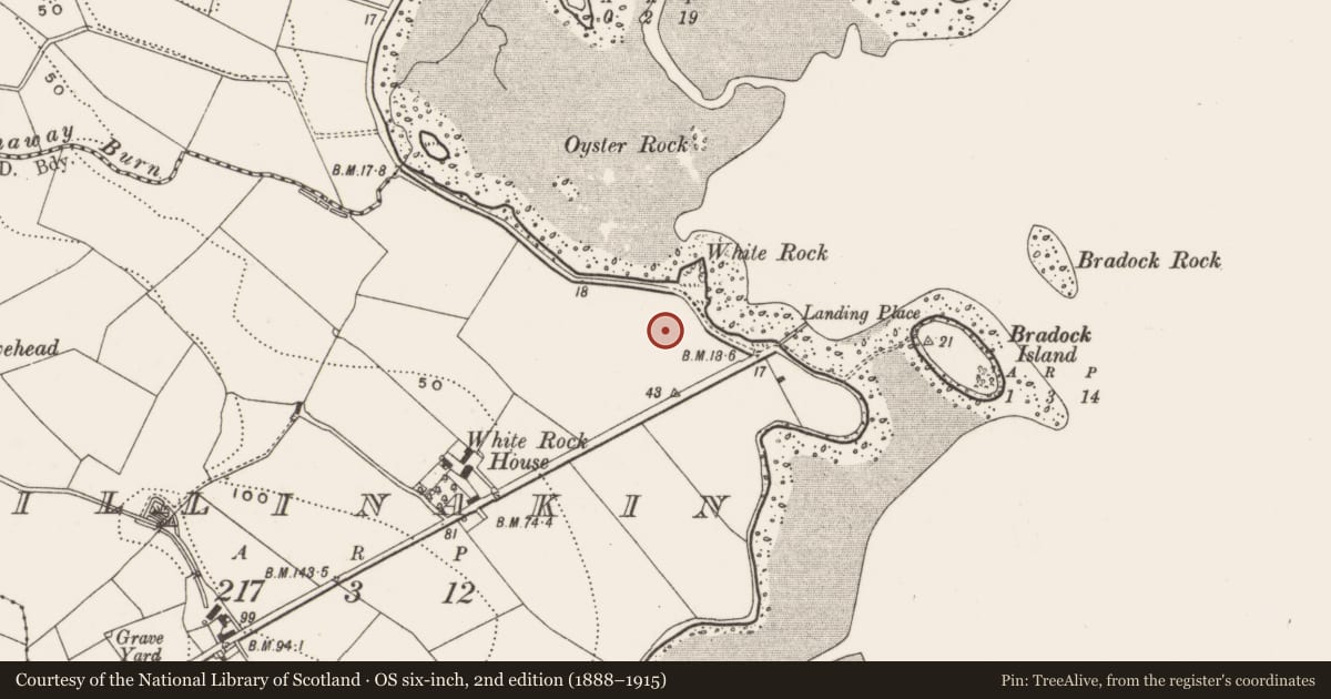 Ordnance Survey six-inch map, 2nd edition (1888–1915) covering the location of 139 Whiterock Bay, Killinakin, Ards and North Down, with a pin at the register's coordinates