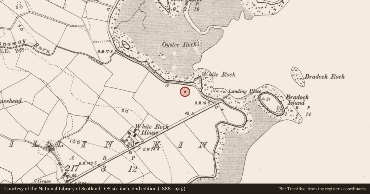 Ordnance Survey six-inch map, 2nd edition (1888–1915) covering the location of 135 Whiterock Bay, Killinakin, Ards and North Down, with a pin at the register's coordinates