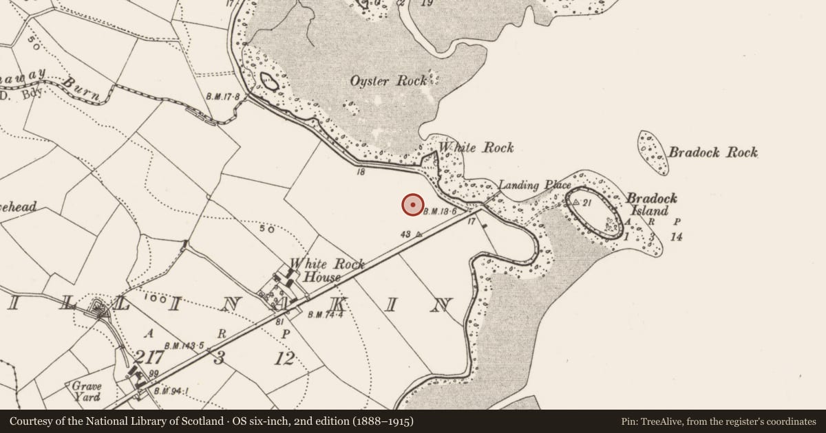 Ordnance Survey six-inch map, 2nd edition (1888–1915) covering the location of 141 Whiterock Bay, Killinakin, Ards and North Down, with a pin at the register's coordinates