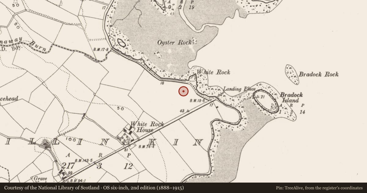 Ordnance Survey six-inch map, 2nd edition (1888–1915) covering the location of 137 Whiterock Bay, Killinakin, Ards and North Down, with a pin at the register's coordinates