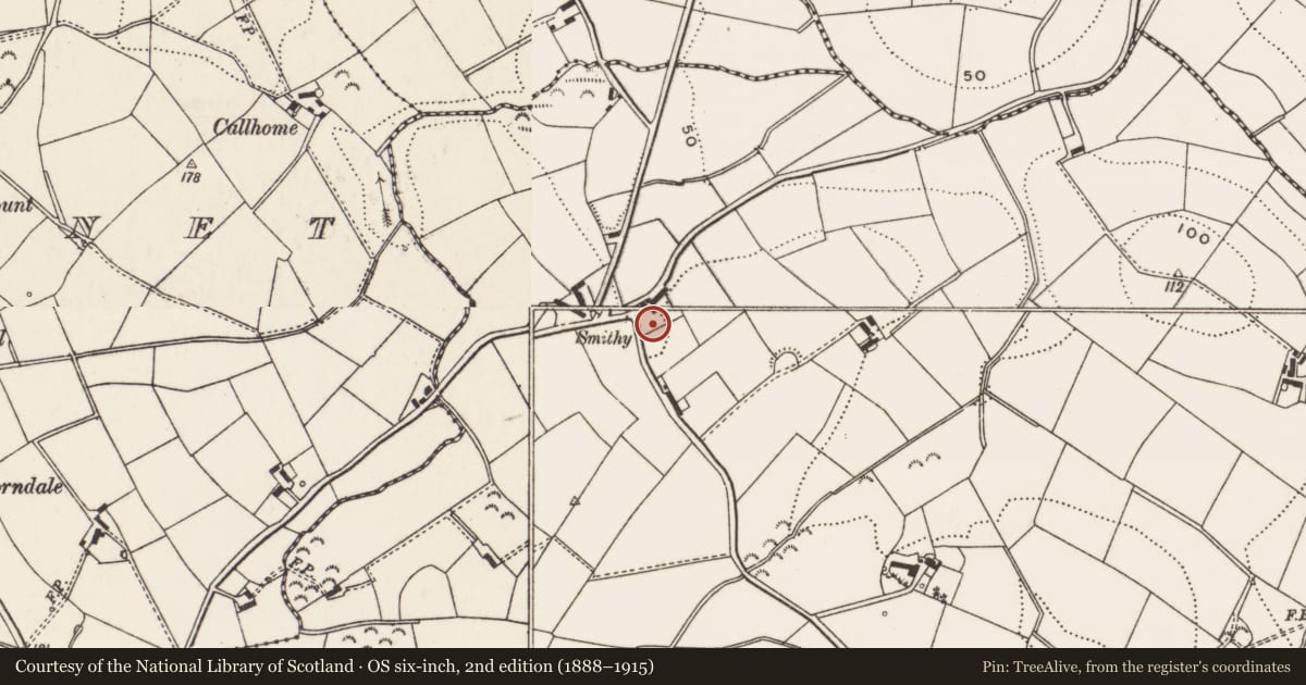 Ordnance Survey six-inch map, 2nd edition (1888–1915) covering the location of ’Barn’, Lisbane, Ards and North Down, with a pin at the register's coordinates