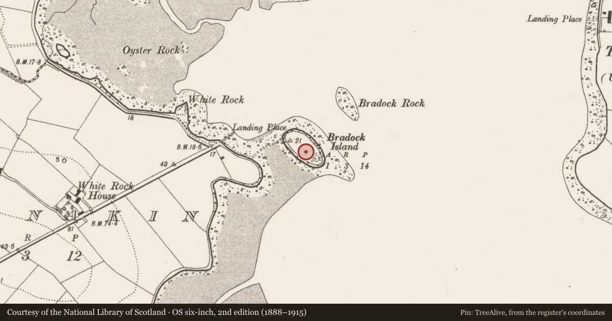 Ordnance Survey six-inch map, 2nd edition (1888–1915) covering the location of Bradock Island, Killinakin, Ards and North Down, with a pin at the register's coordinates