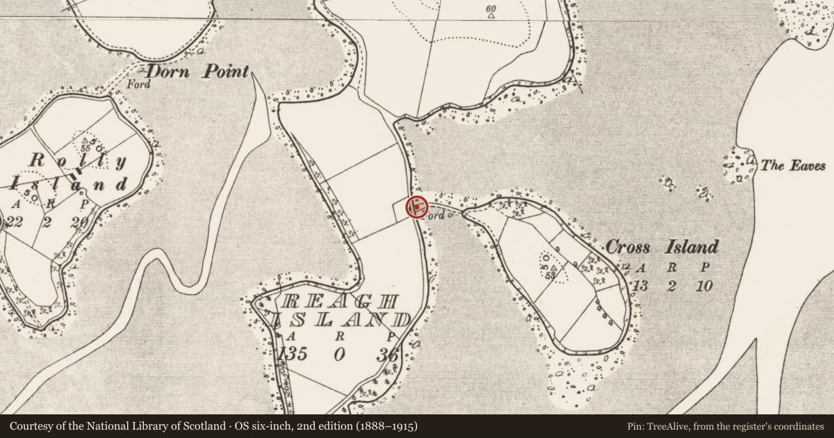 Ordnance Survey six-inch map, 2nd edition (1888–1915) covering the location of 5 Reagh Island, Ringneill, Ards and North Down, with a pin at the register's coordinates