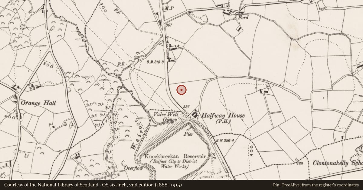 Ordnance Survey six-inch map, 2nd edition (1888–1915) covering the location of Roman Church of the Immaculate Heart of Mary, Lisburn and Castlereagh, with a pin at the register's coordinates