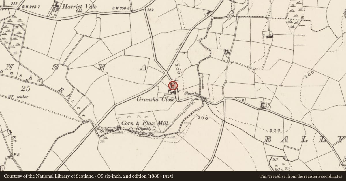 Ordnance Survey six-inch map, 2nd edition (1888–1915) covering the location of 11 Gransha Close, Lisburn and Castlereagh, with a pin at the register's coordinates