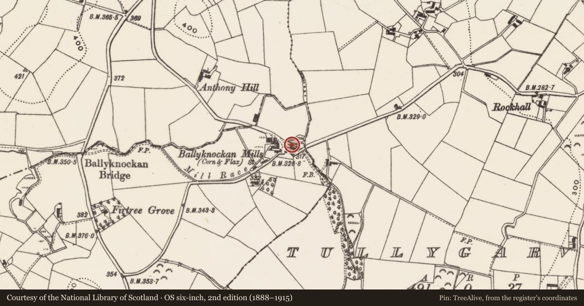 Ordnance Survey six-inch map, 2nd edition (1888–1915) covering the location of Mill, Lisburn and Castlereagh, with a pin at the register's coordinates