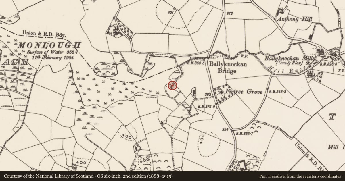 Ordnance Survey six-inch map, 2nd edition (1888–1915) covering the location of 39 Monlough Road, Lisburn and Castlereagh, with a pin at the register's coordinates
