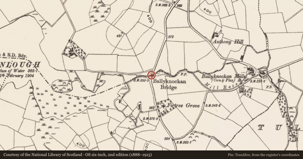 Ordnance Survey six-inch map, 2nd edition (1888–1915) covering the location of Bridge, Lisburn and Castlereagh, with a pin at the register's coordinates