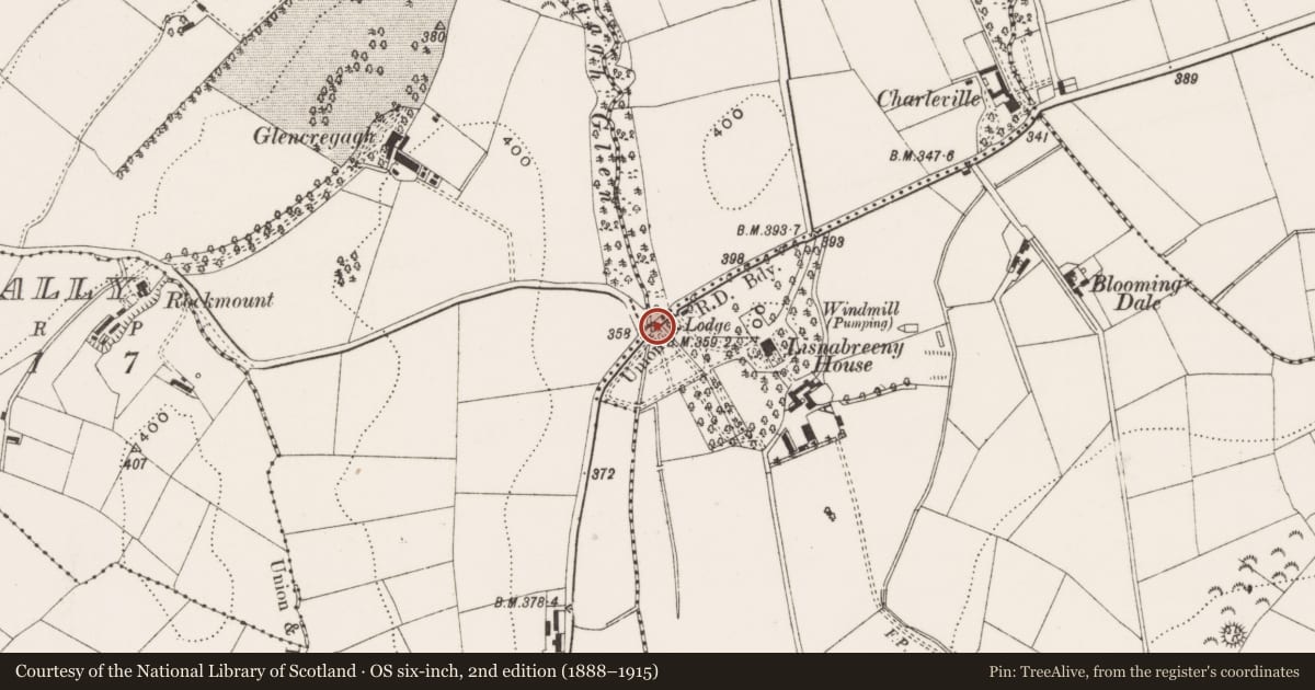 Ordnance Survey six-inch map, 2nd edition (1888–1915) covering the location of Road Bridge, Belfast, with a pin at the register's coordinates