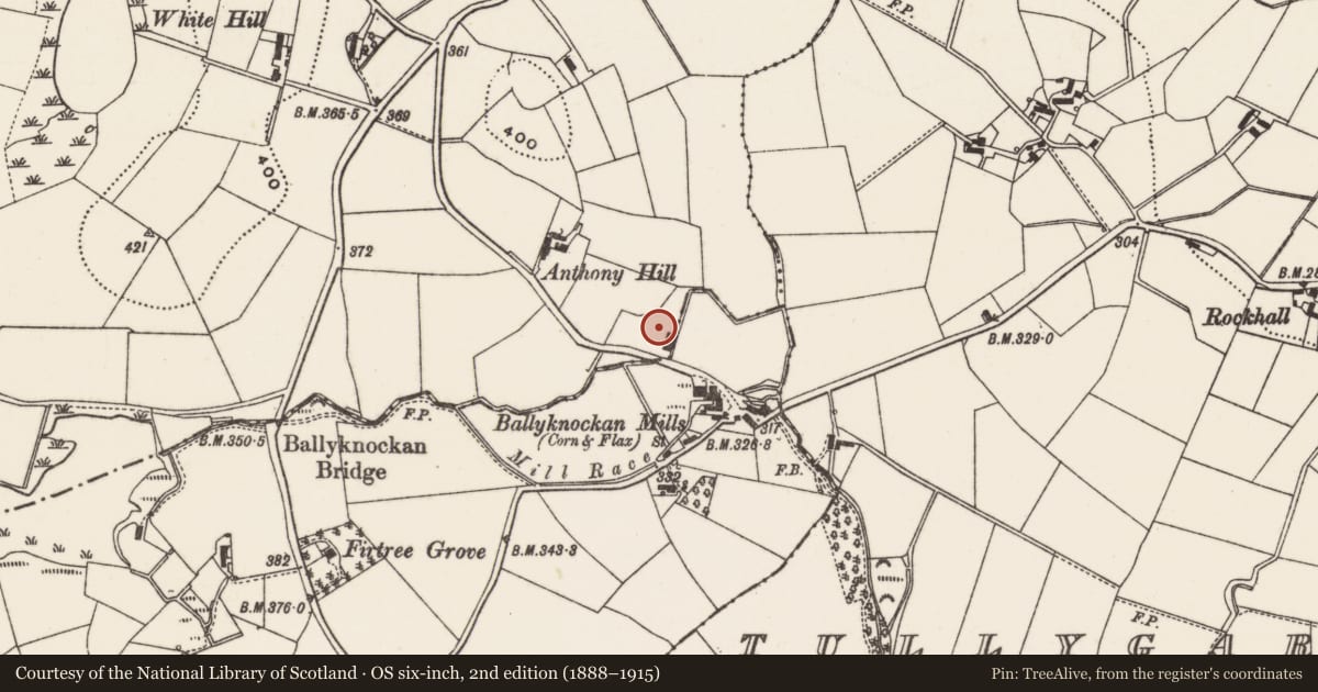 Ordnance Survey six-inch map, 2nd edition (1888–1915) covering the location of Former Mill Building, Lisburn and Castlereagh, with a pin at the register's coordinates