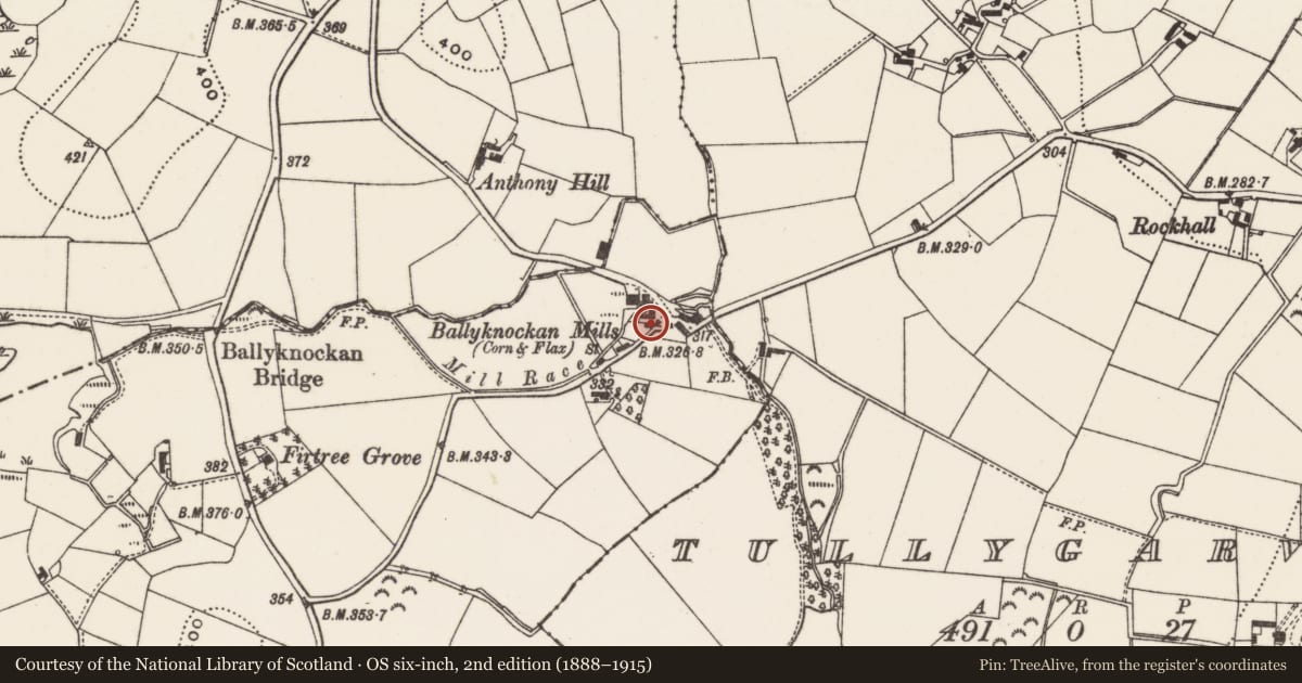 Ordnance Survey six-inch map, 2nd edition (1888–1915) covering the location of House, Lisburn and Castlereagh, with a pin at the register's coordinates