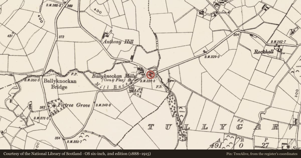Ordnance Survey six-inch map, 2nd edition (1888–1915) covering the location of Vernacular Outbuilding, Lisburn and Castlereagh, with a pin at the register's coordinates