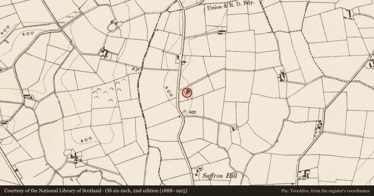 Ordnance Survey six-inch map, 2nd edition (1888–1915) covering the location of 19 Lisleen Road, Lisburn and Castlereagh, with a pin at the register's coordinates
