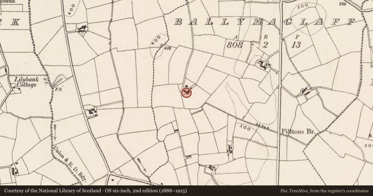 Ordnance Survey six-inch map, 2nd edition (1888–1915) covering the location of Clondara House, Lisburn and Castlereagh, with a pin at the register's coordinates