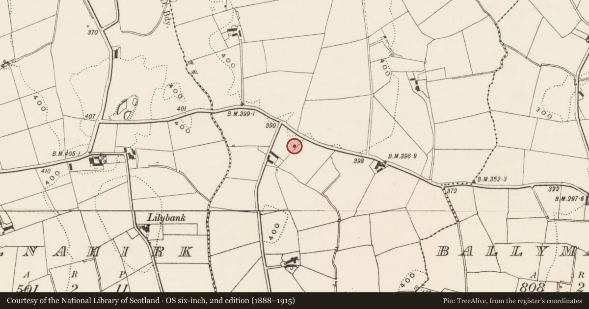 Ordnance Survey six-inch map, 2nd edition (1888–1915) covering the location of Former 'Government Communications Radio Station', Ballyhanwood, Lisburn and Castlereagh, with a pin at the register's coordinates