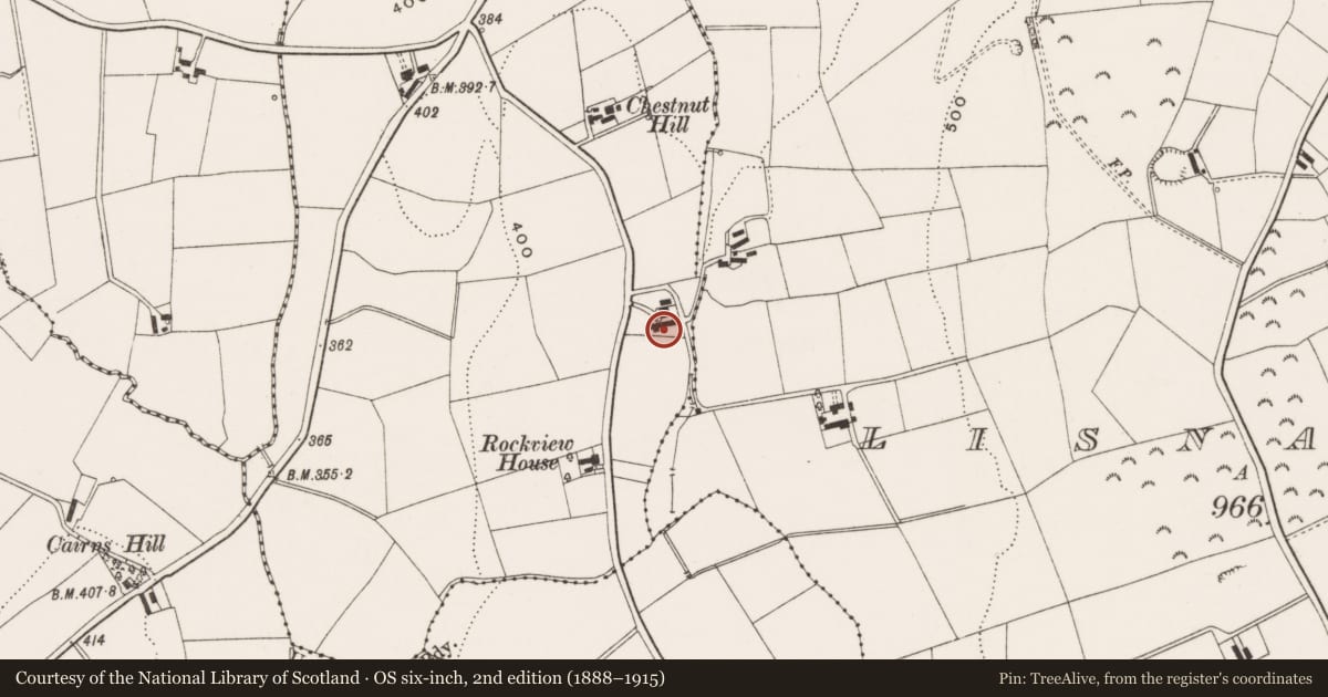 Ordnance Survey six-inch map, 2nd edition (1888–1915) covering the location of Whitevale, Ballymaconaghy, Lisburn and Castlereagh, with a pin at the register's coordinates