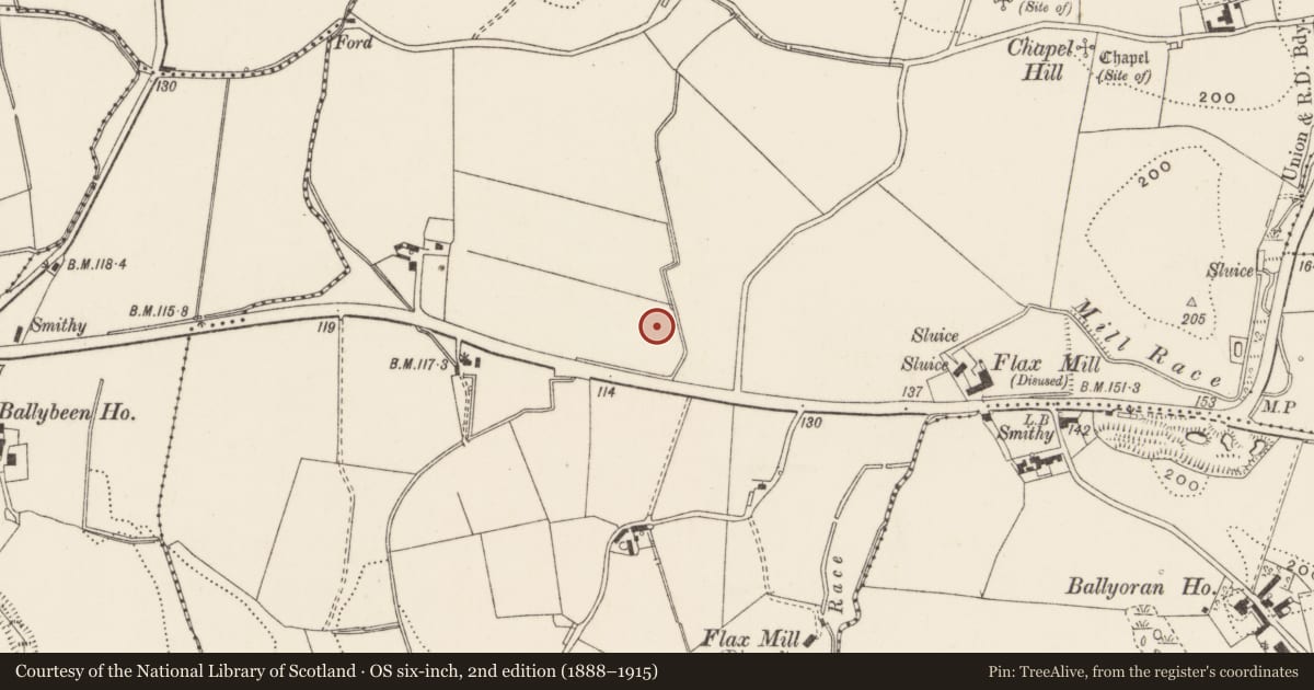 Ordnance Survey six-inch map, 2nd edition (1888–1915) covering the location of Demolished Engineering Works, Lisburn and Castlereagh, with a pin at the register's coordinates