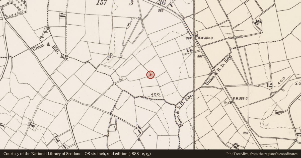 Ordnance Survey six-inch map, 2nd edition (1888–1915) covering the location of Crematorium Building, Slatady, Lisburn and Castlereagh, with a pin at the register's coordinates