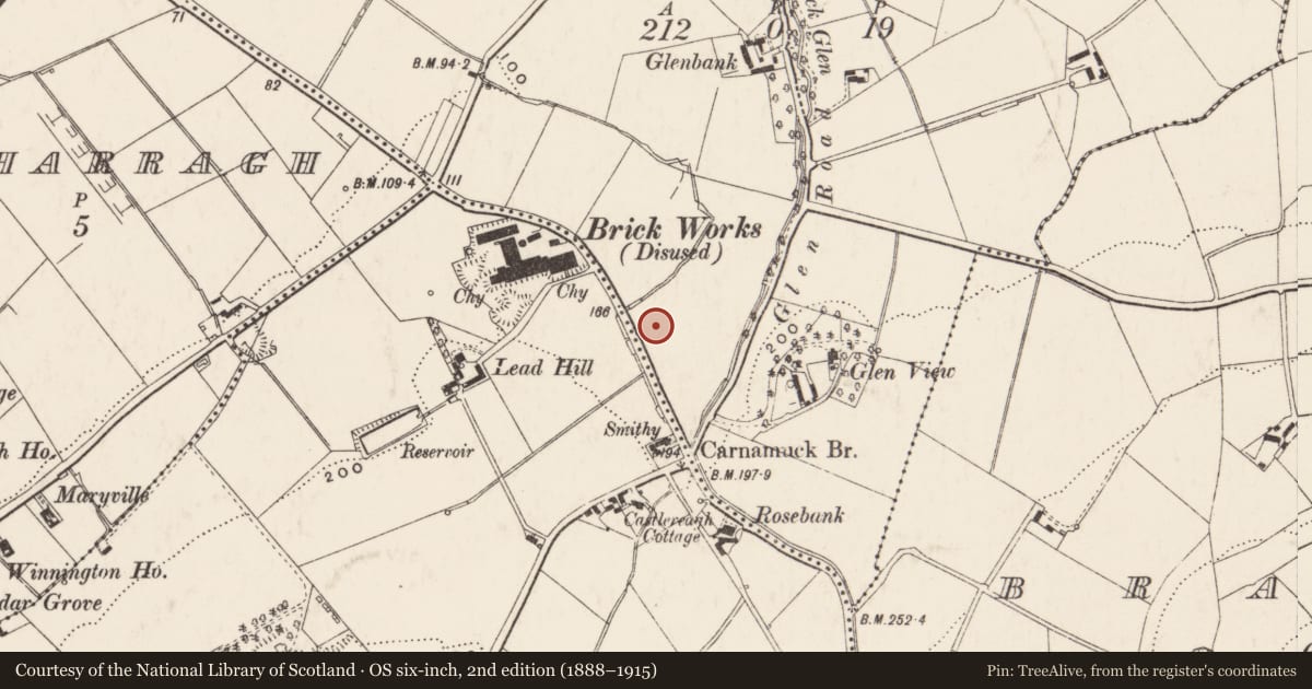 Ordnance Survey six-inch map, 2nd edition (1888–1915) covering the location of Electricity Sub Station, Belfast, with a pin at the register's coordinates