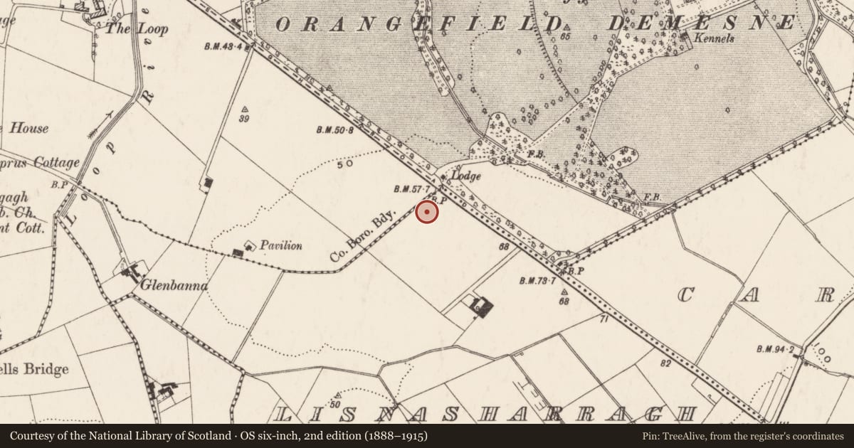 Ordnance Survey six-inch map, 2nd edition (1888–1915) covering the location of St. John the Evangelist Church of Ireland, Multyhogy, Belfast, with a pin at the register's coordinates