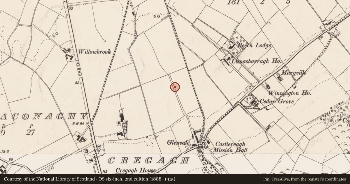 Ordnance Survey six-inch map, 2nd edition (1888–1915) covering the location of Lisnasharragh High School, Belfast, with a pin at the register's coordinates