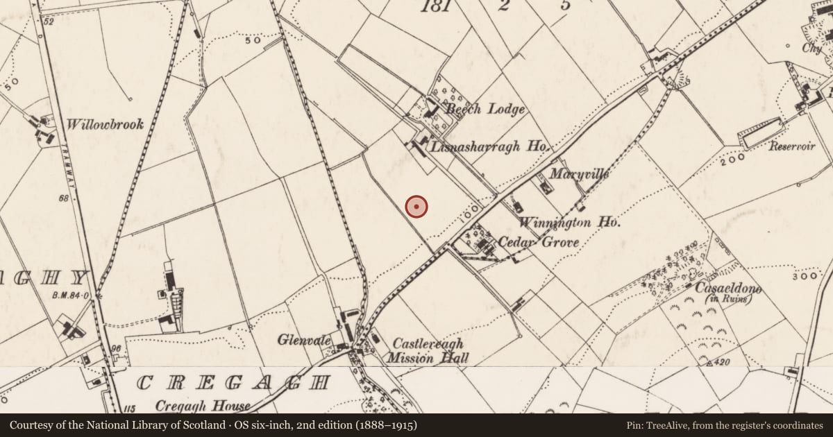 Ordnance Survey six-inch map, 2nd edition (1888–1915) covering the location of Lisnasharragh Primary School, Belfast, with a pin at the register's coordinates