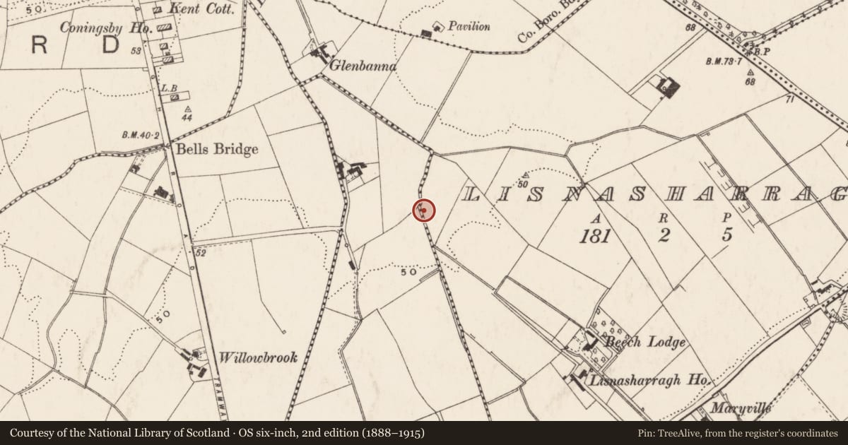 Ordnance Survey six-inch map, 2nd edition (1888–1915) covering the location of Business Park, Cregagh Lisnasharragh, Belfast, with a pin at the register's coordinates