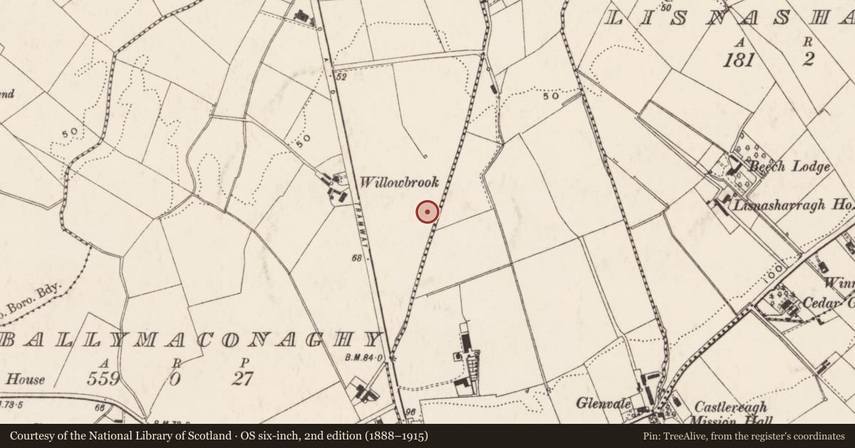 Ordnance Survey six-inch map, 2nd edition (1888–1915) covering the location of Terrace at Thiepval Avenue, Belfast, with a pin at the register's coordinates