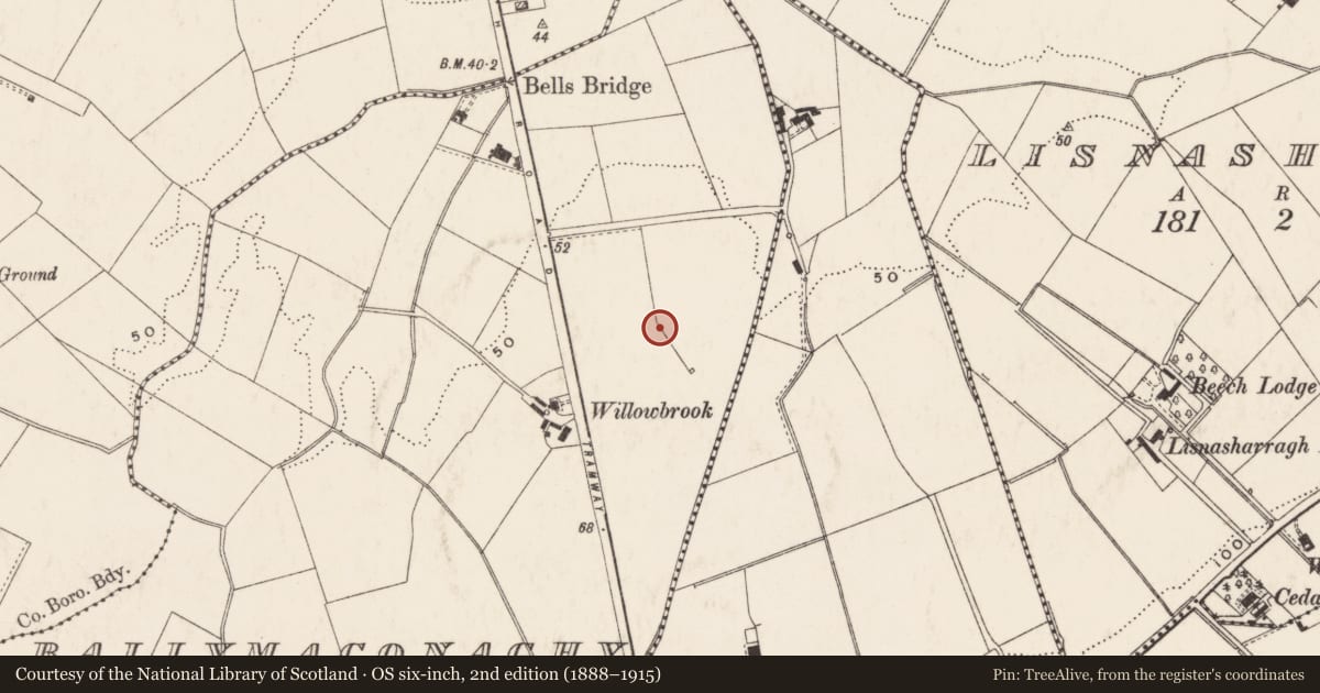 Ordnance Survey six-inch map, 2nd edition (1888–1915) covering the location of 1914-1918 War Memorial, Belfast, with a pin at the register's coordinates
