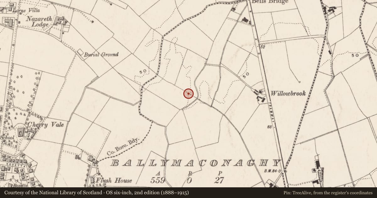 Ordnance Survey six-inch map, 2nd edition (1888–1915) covering the location of Cregagh Primary School, Belfast, with a pin at the register's coordinates