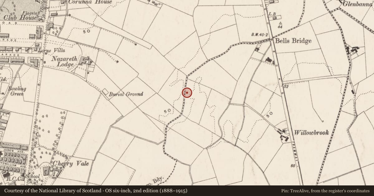 Ordnance Survey six-inch map, 2nd edition (1888–1915) covering the location of The Church of the Pentecost (COI), Ballymaconaghy, Belfast, with a pin at the register's coordinates