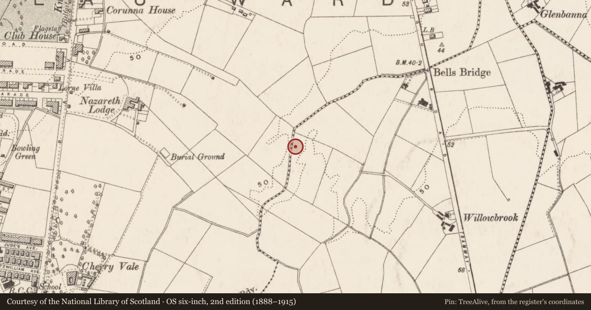 Ordnance Survey six-inch map, 2nd edition (1888–1915) covering the location of Church Hall, Ballymaconaghy Ballynafoy, Belfast, with a pin at the register's coordinates