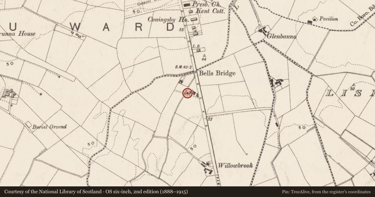 Ordnance Survey six-inch map, 2nd edition (1888–1915) covering the location of Willowbrook and Woodstock House, Ballymaconaghy, Belfast, with a pin at the register's coordinates